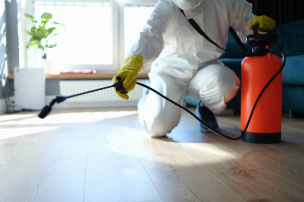 Reliable Darrington, WA Pest Control Solutions