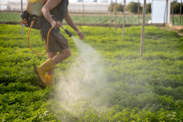 Best Affordable Pest Control Services  in Darrington, WA